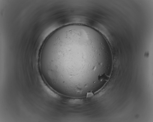 X0000093391135200710111510