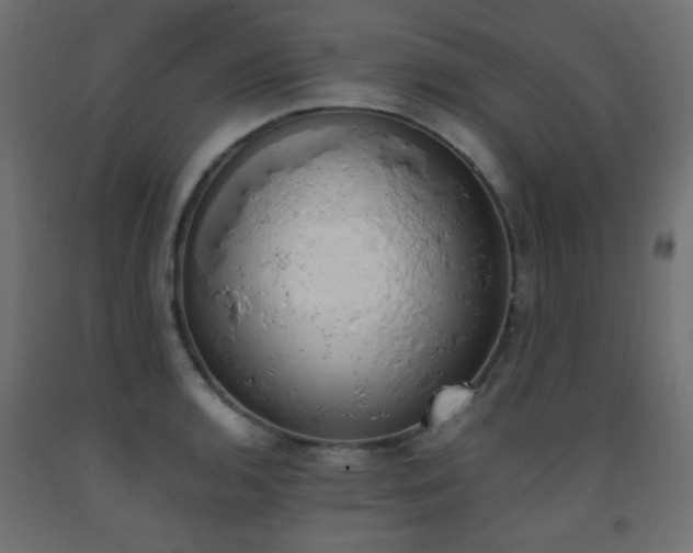 X0000093391136200710111510