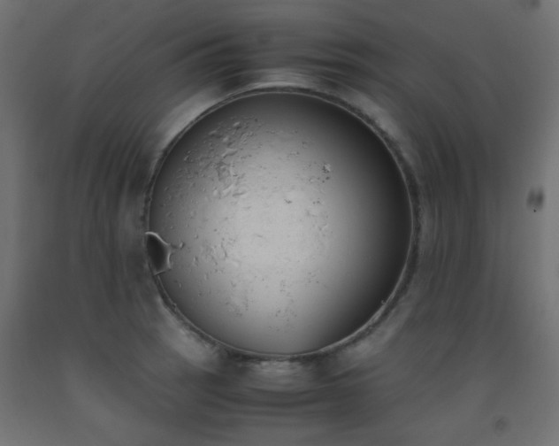 X0000093391137200710111510