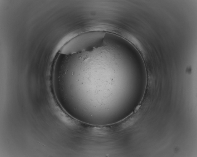 X0000093391138200710111510