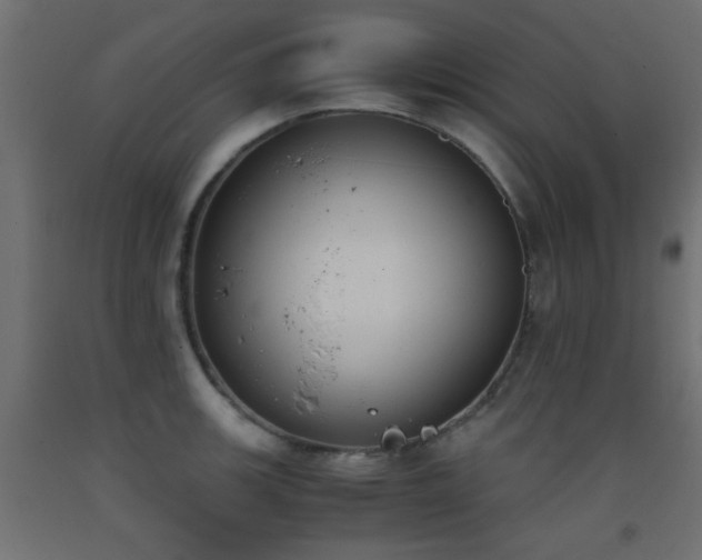 X0000093391139200710111510