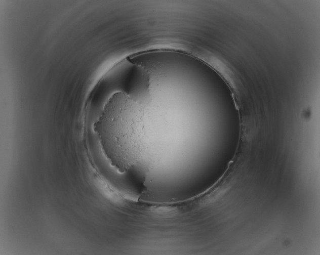 X0000093391140200710111510