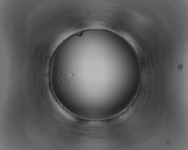 X0000093391142200710111510