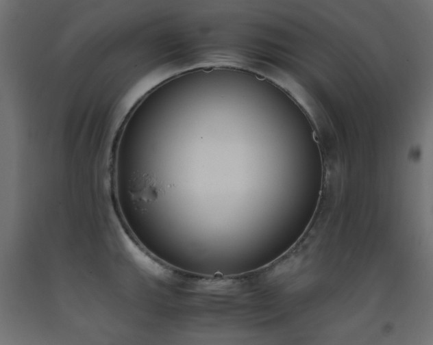 X0000093391143200710111510