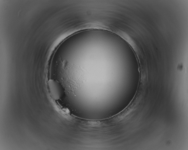 X0000093391144200710111510