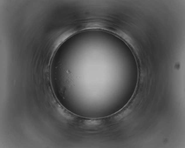 X0000093391145200710111510