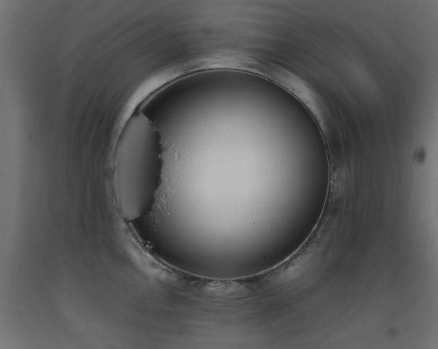 X0000093391146200710111510