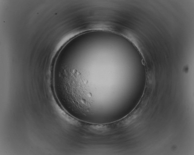 X0000093391147200710111510