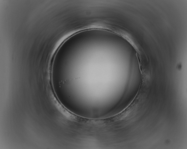 X0000093391148200710111510