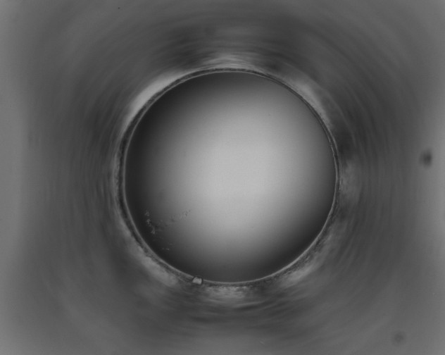 X0000093391149200710111510