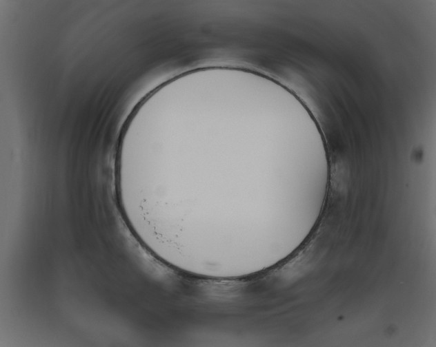 X0000093391150200710111510