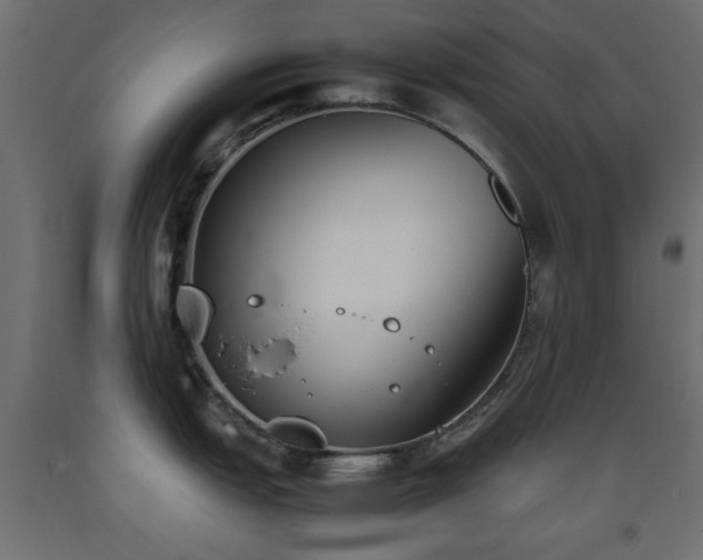 X0000093391151200710111510