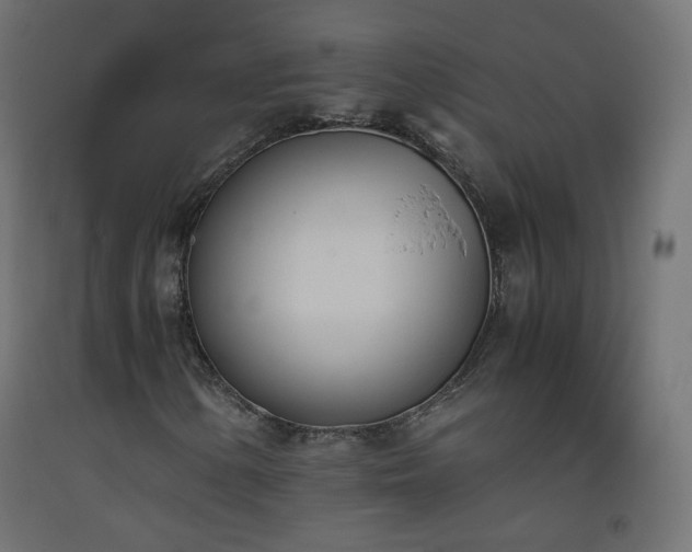 X0000093391154200710111510