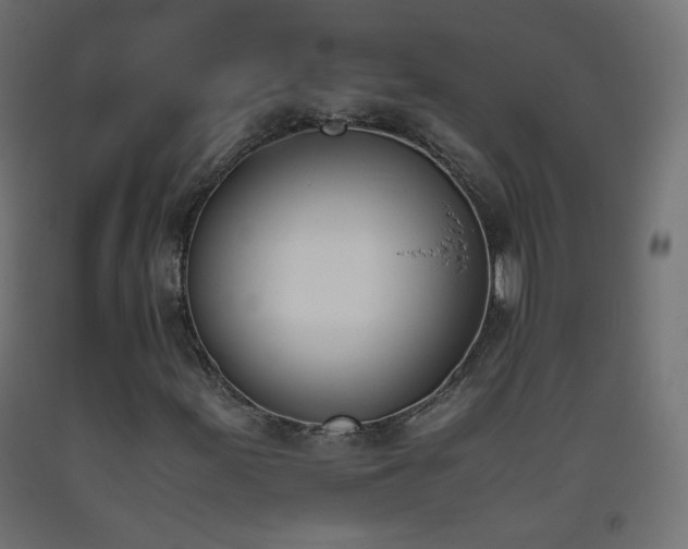 X0000093391155200710111510