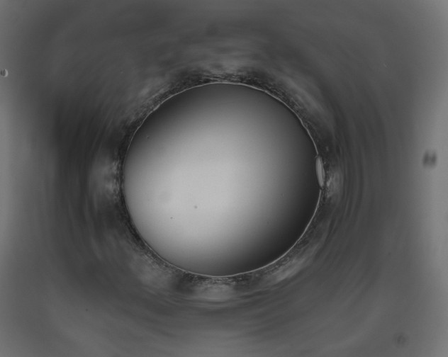 X0000093391156200710111510