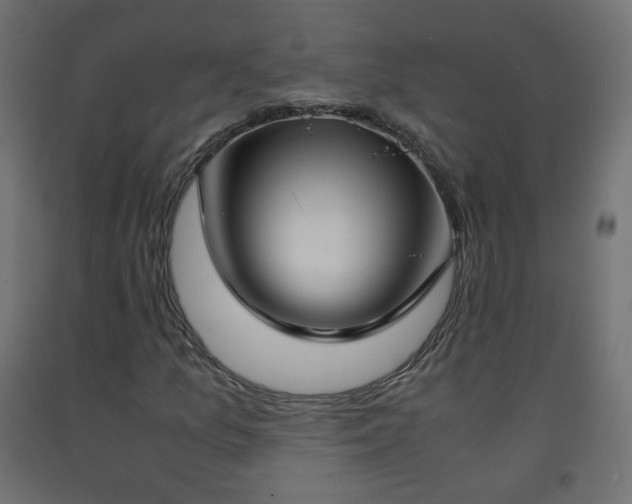 X0000093391157200710111510