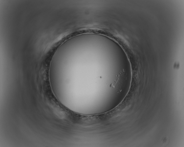 X0000093391159200710111509
