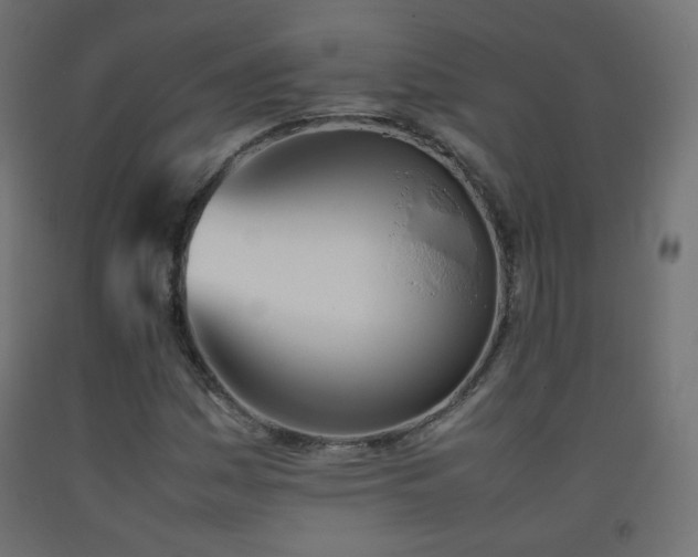 X0000093391161200710111509