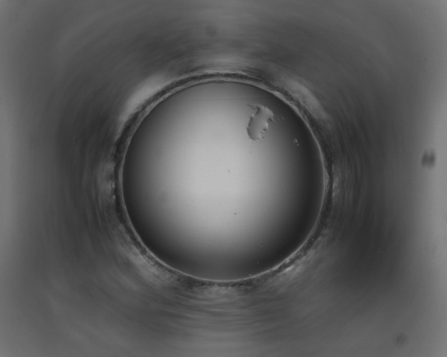 X0000093391164200710111509
