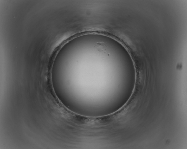 X0000093391165200710111509