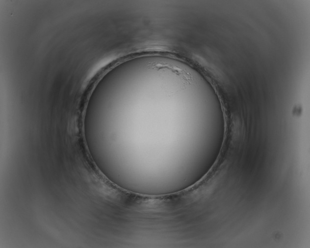 X0000093391166200710111509