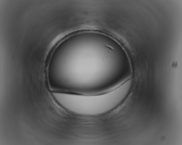 X0000093391168200710111509