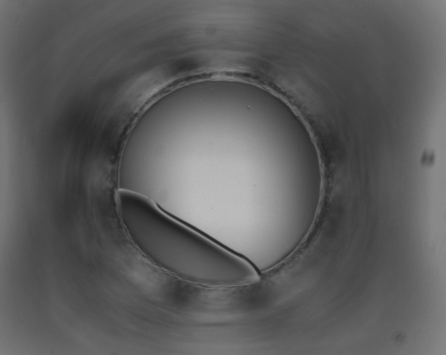 X0000093391169200710111509