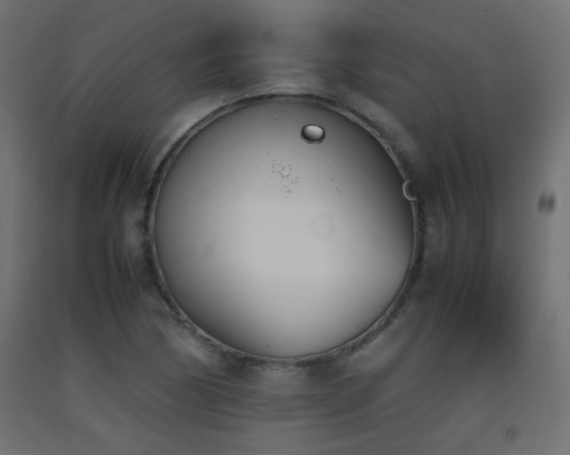 X0000093391170200710111509