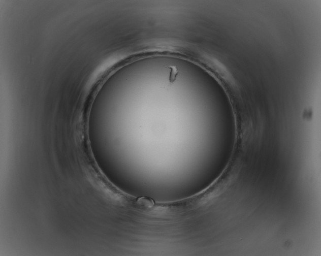 X0000093391172200710111509