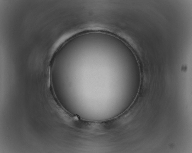 X0000093391175200710111509
