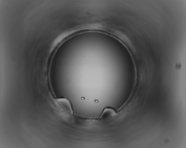 X0000093391176200710111509