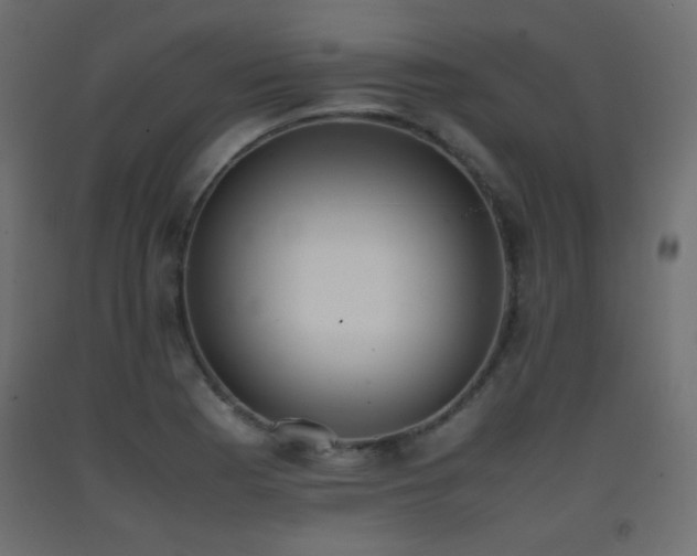 X0000093391177200710111509