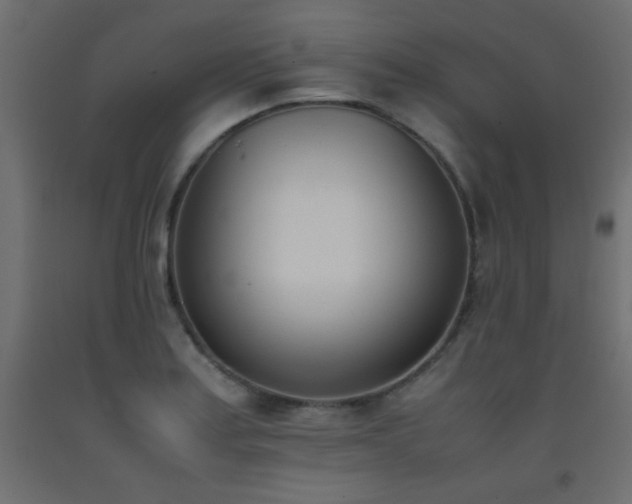 X0000093391179200710111509