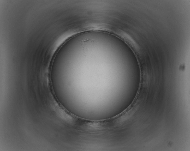 X0000093391182200710111509