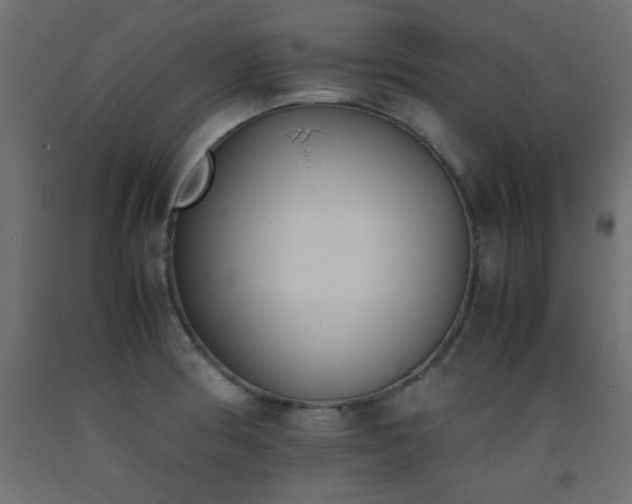 X0000093391186200710111509