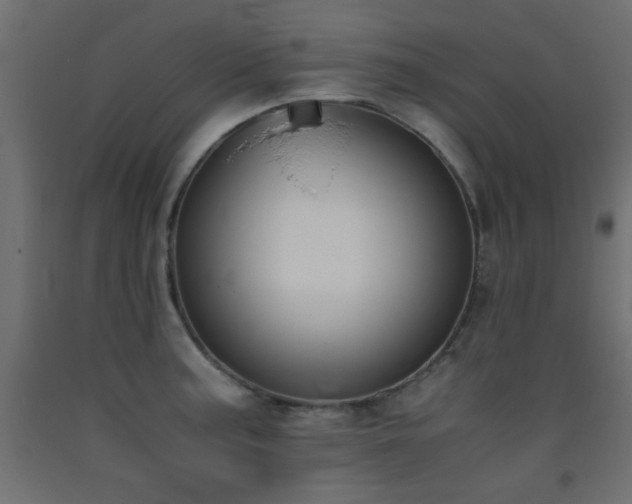 X0000093391187200710111509