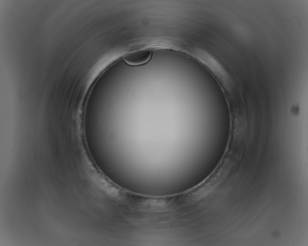 X0000093391190200710111509