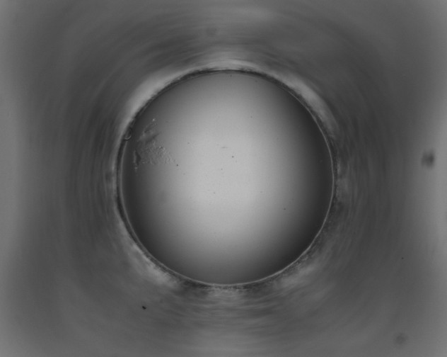 X0000093391191200710111509