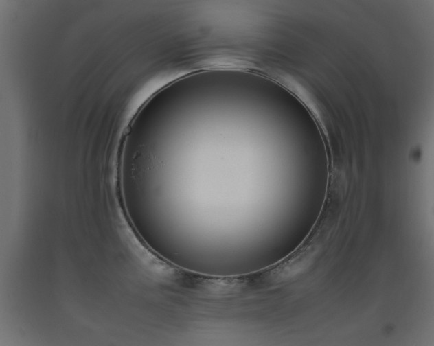 X0000093391195200710111509