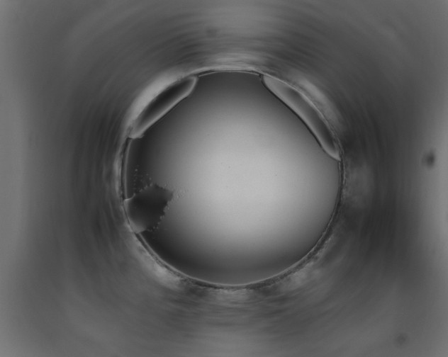 X0000093391196200710111509