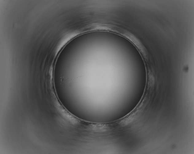 X0000093391198200710111509