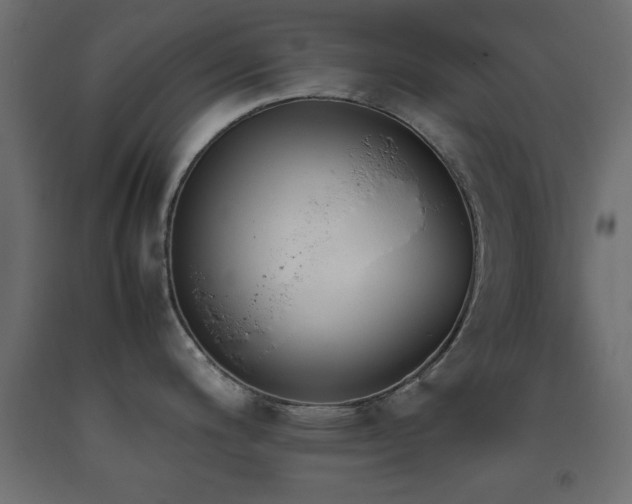X0000093391200200710111509