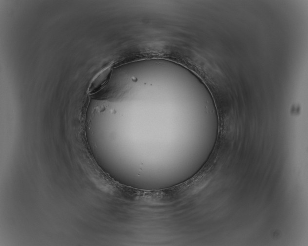 X0000093391201200710111508