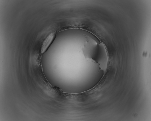 X0000093391202200710111508