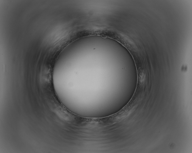 X0000093391204200710111508
