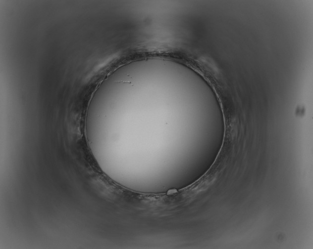 X0000093391205200710111508