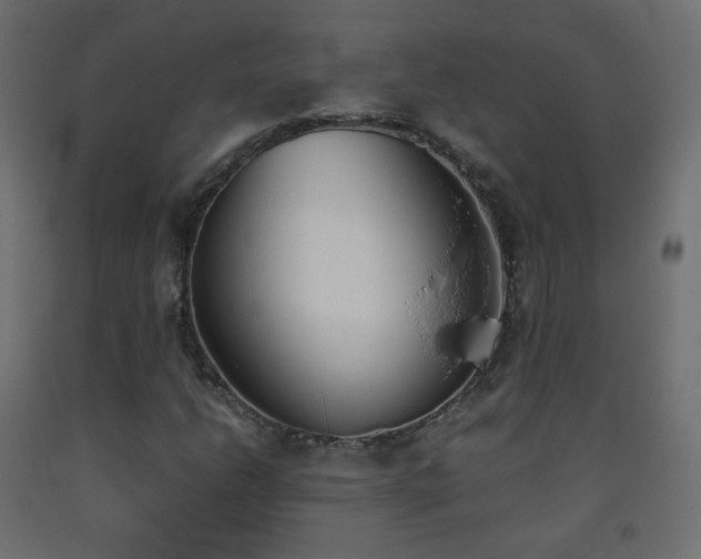 X0000093391206200710111508
