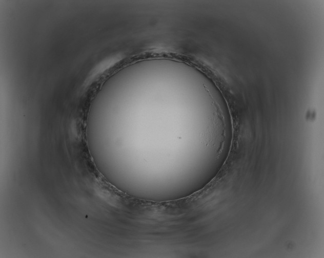 X0000093391207200710111508