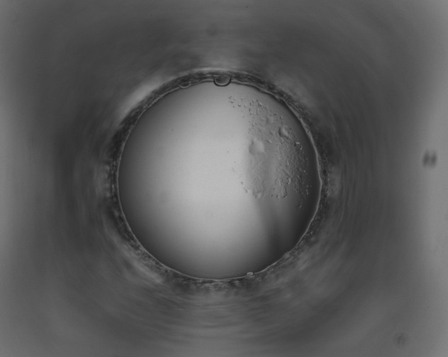 X0000093391208200710111508