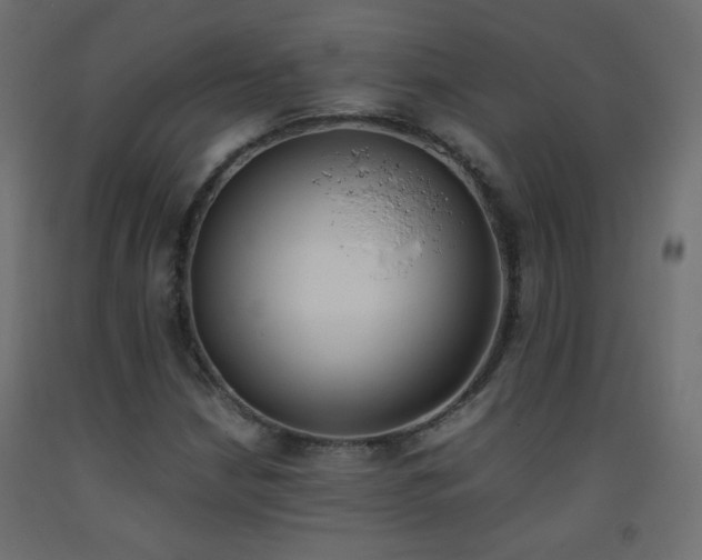 X0000093391210200710111508
